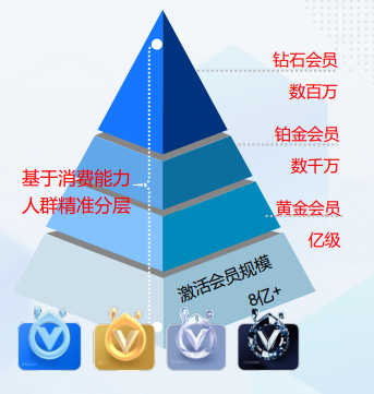 支付宝广告高净值会员运营形式